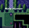 MaleHuman.png